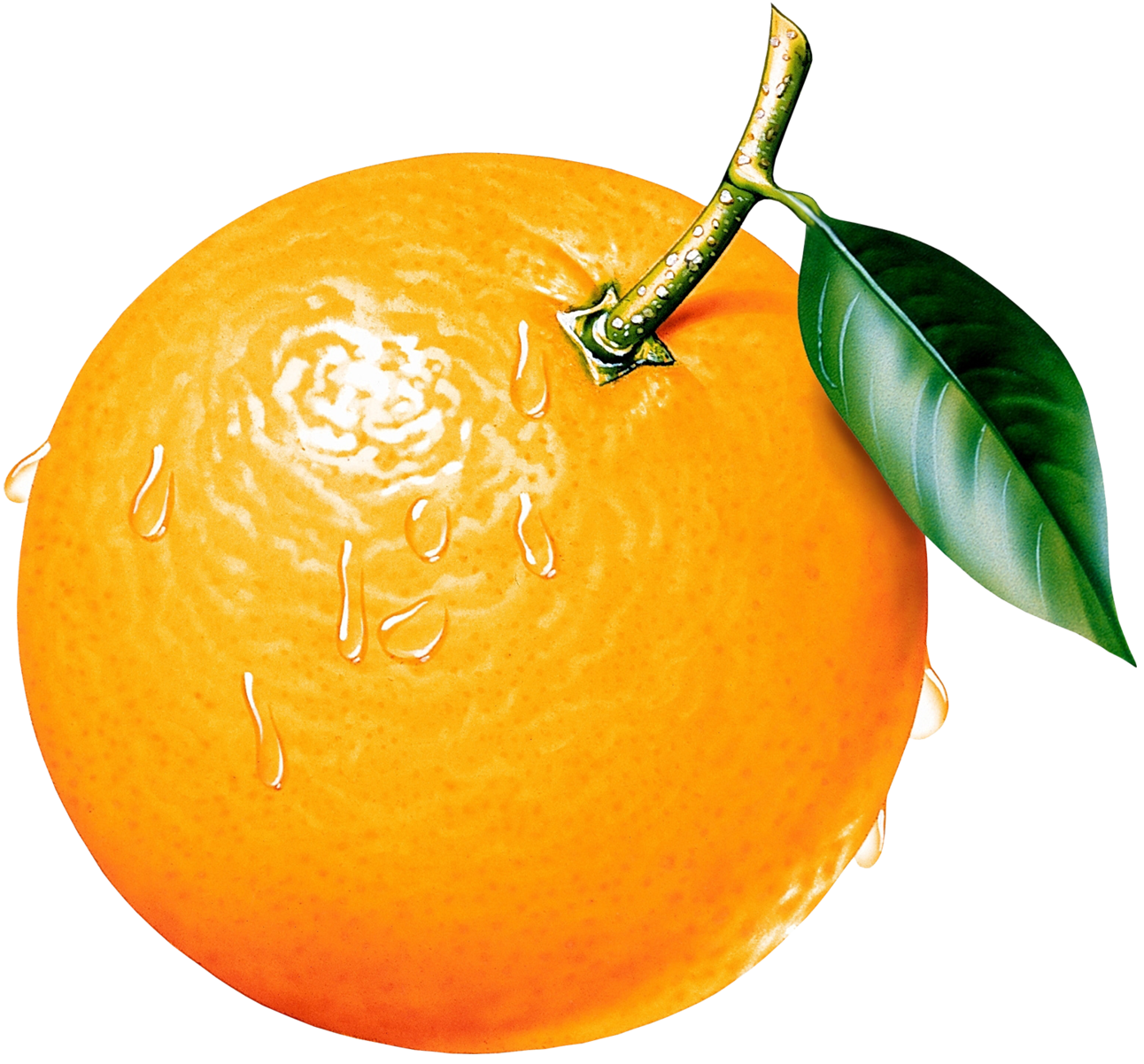 Orange fruit clipart kid