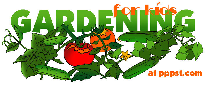 Vegetable garden clipart and 4