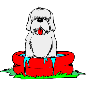 Animated bear in pool clipart kid