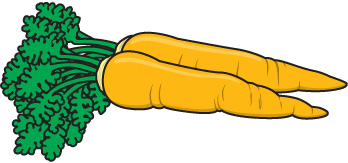 Carrot clip art free clipart images