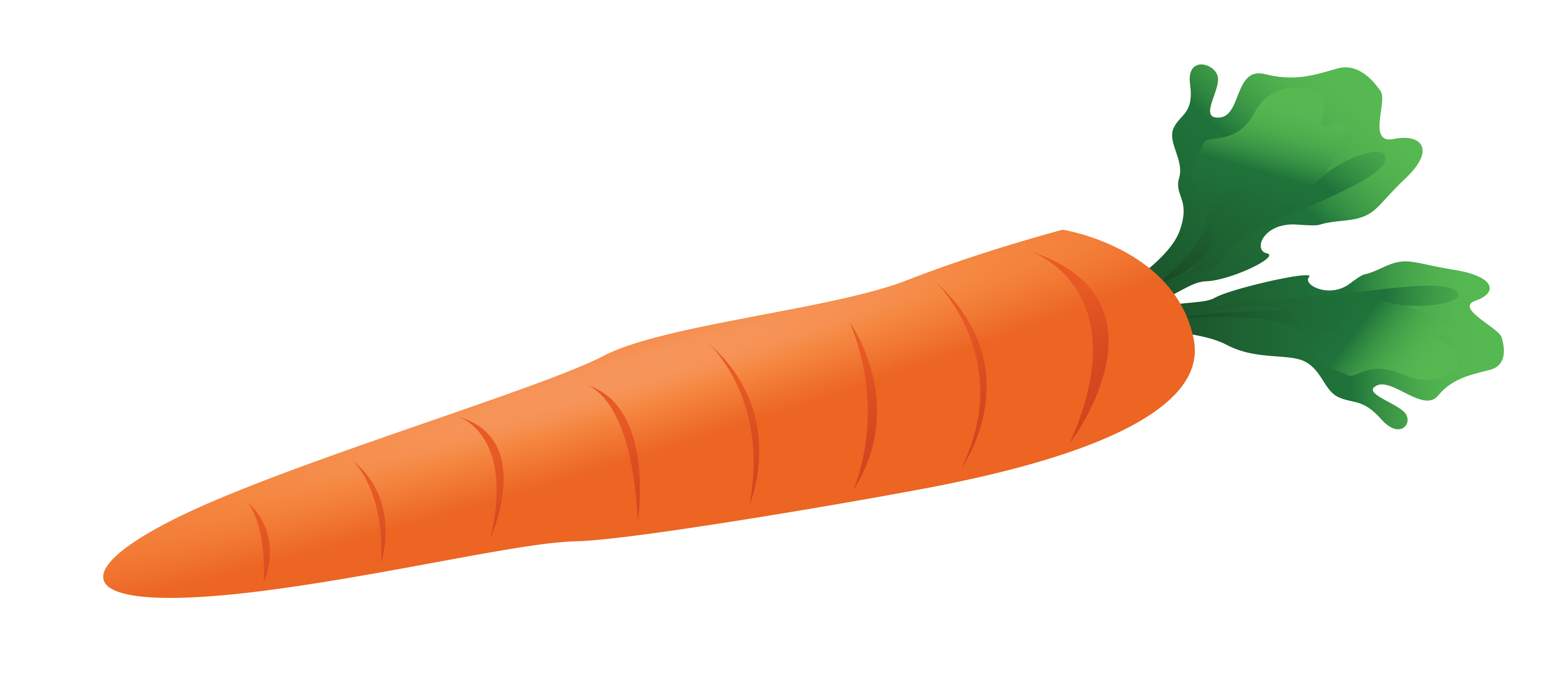 Carrot clip art free images clipart
