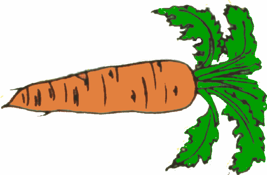 Carrot clipart 13