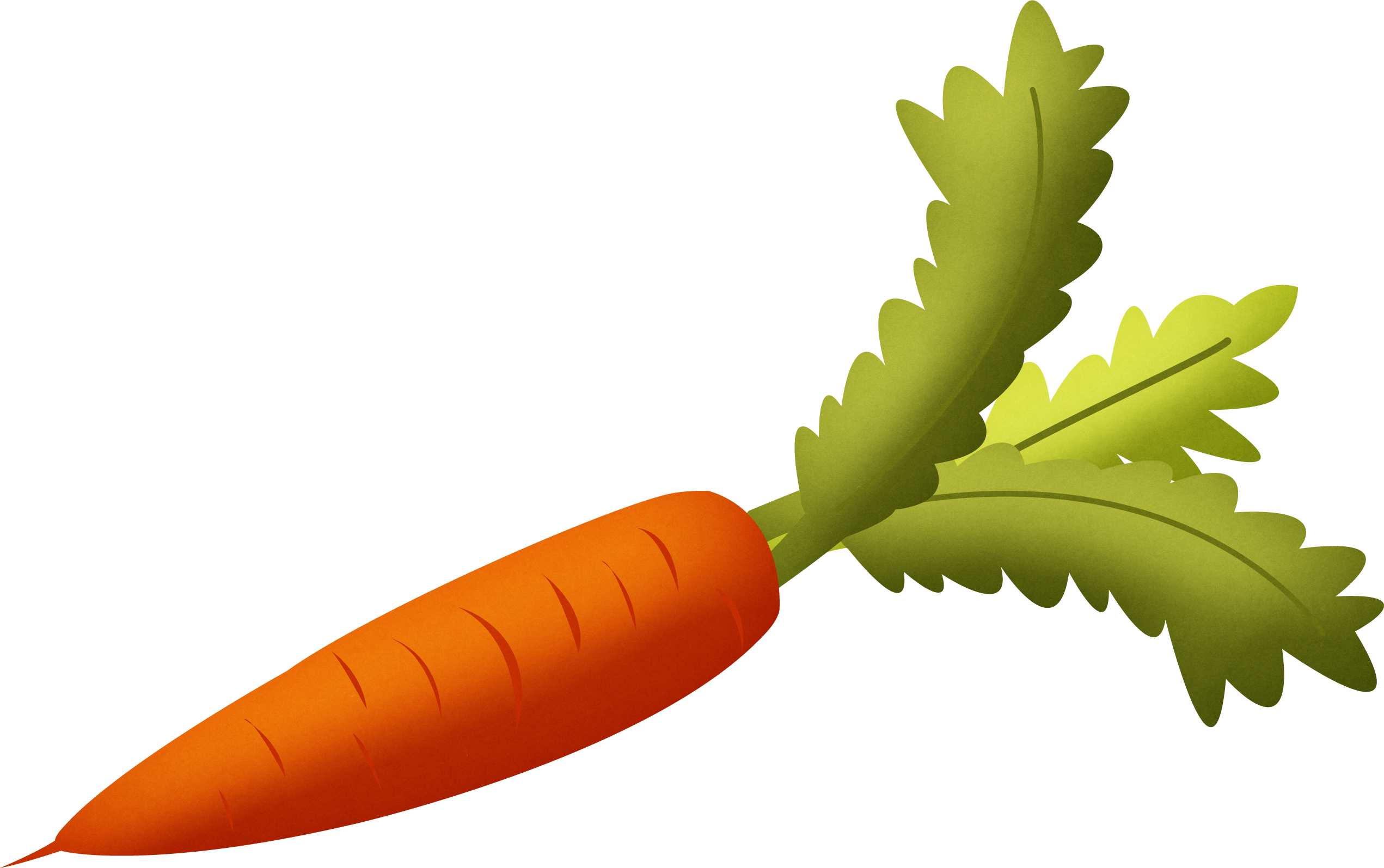 Carrot clipart 21