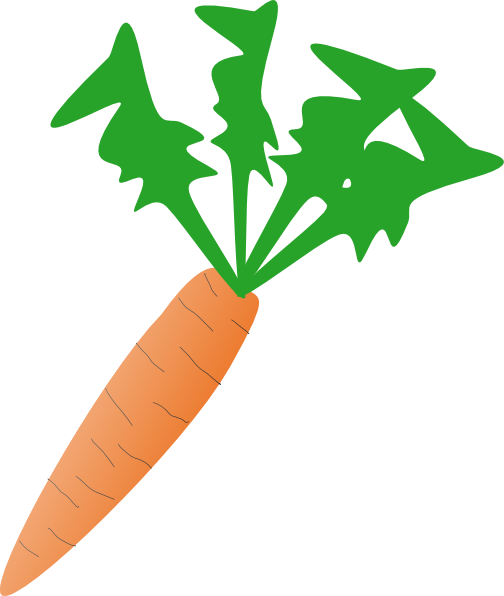 Carrot clipart 25