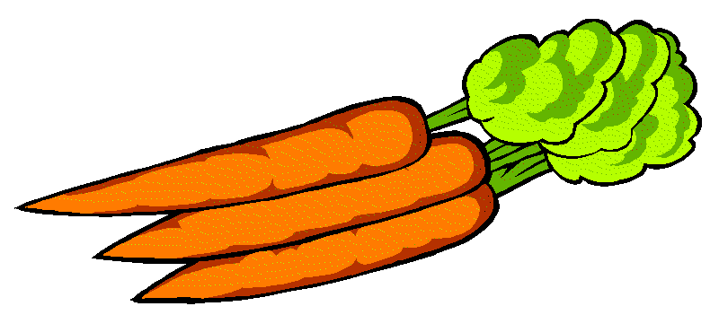 Carrot clipart 5