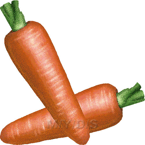 Carrot clipart free clip art