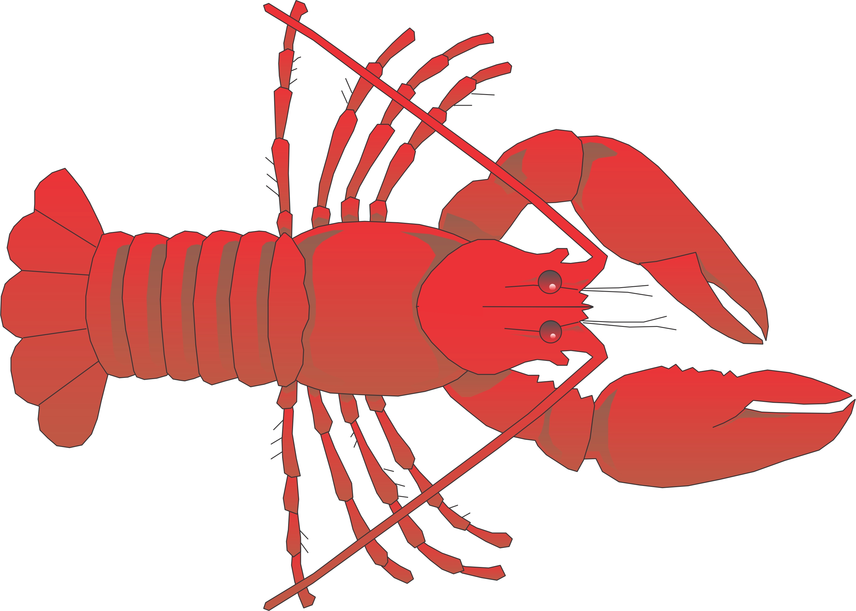 Cartoon lobsters clipart