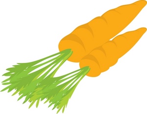 Celery and carrots clipart kid