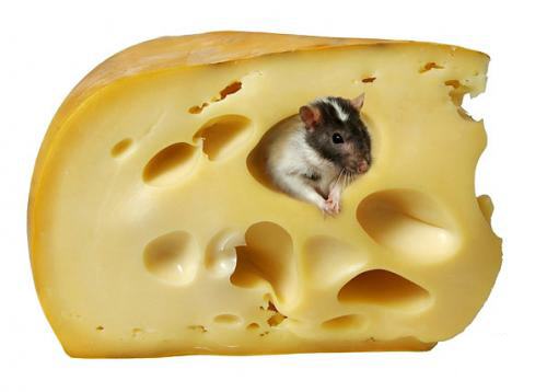 Cheese clipart 7 image