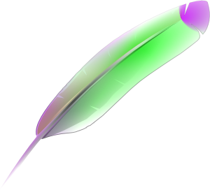 Feather clip art at vector clip art