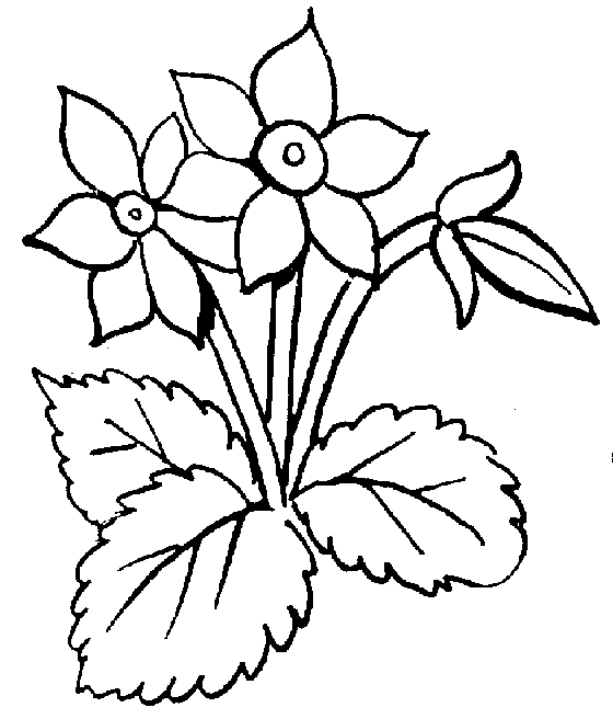 Flower  black and white black and white flower clipart