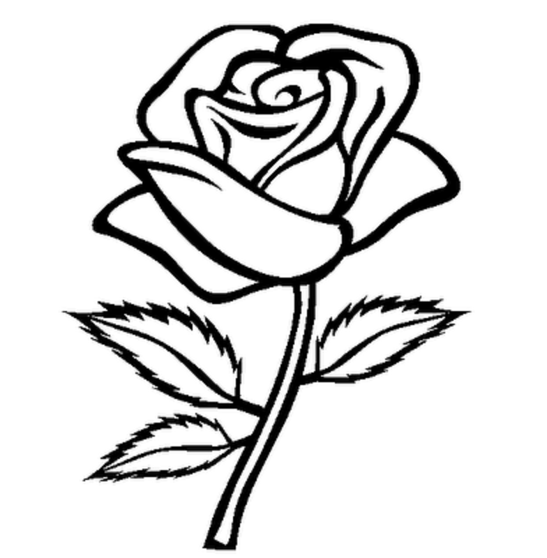 Flower  black and white rose flowers clipart black and white