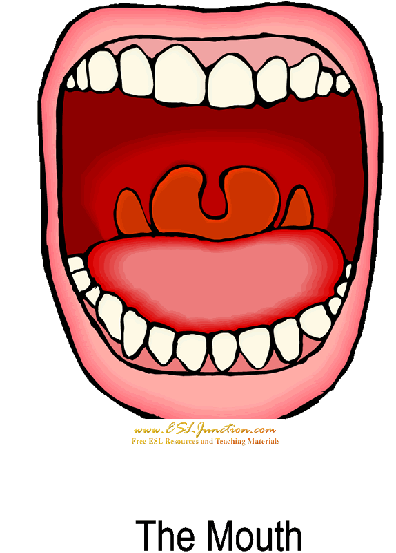 Free mouth clipart the cliparts