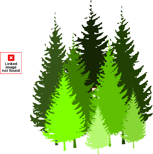 Free pine tree clip art pictures clipartix 2