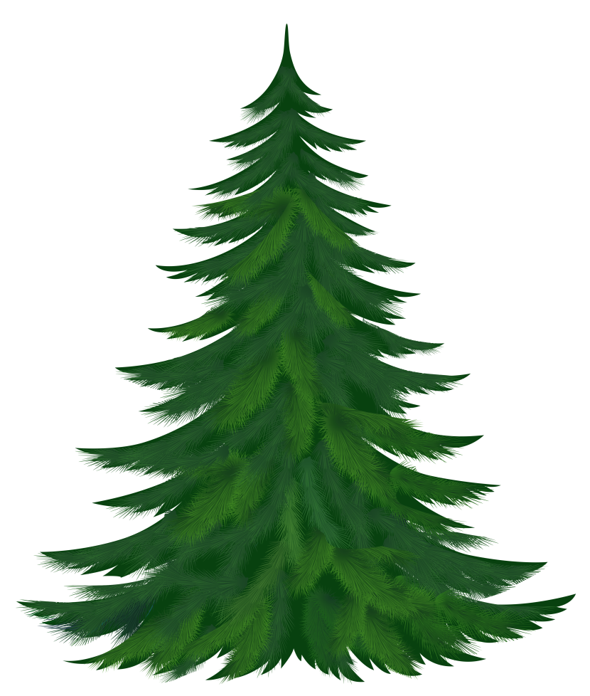 Free pine tree clip art pictures clipartix