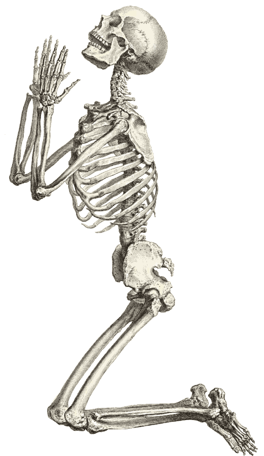 Free skeleton clipart public domain halloween clip art images 2