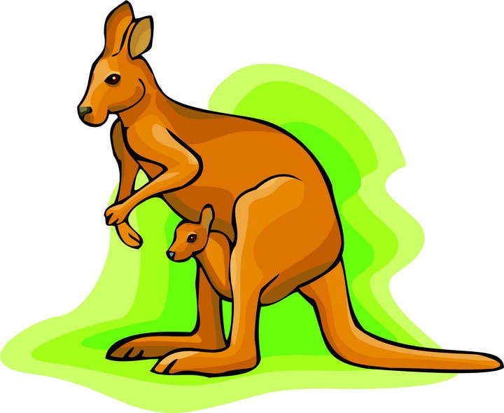 Jumping kangaroo clipart free images