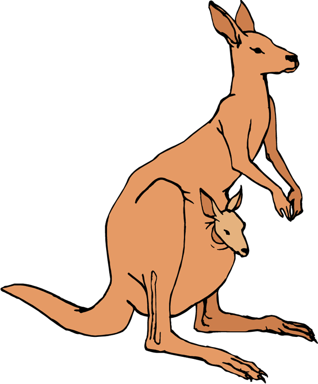 Kangaroo clip art free clipart images