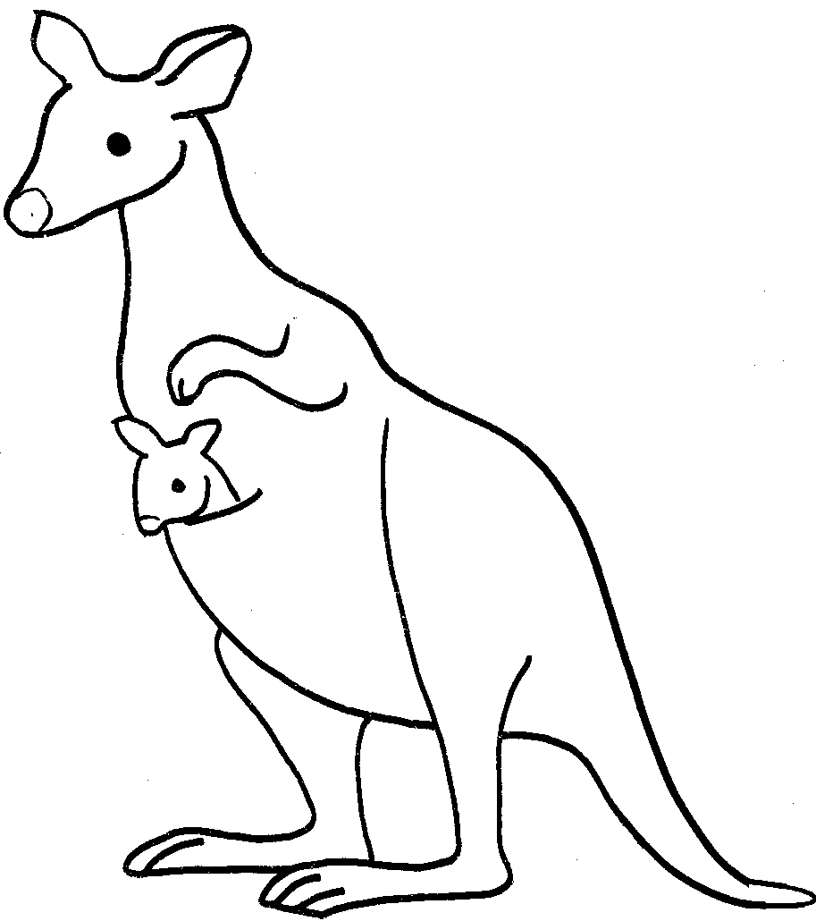 Kangaroo clipart hostted