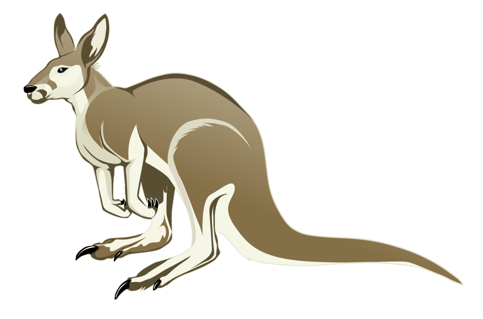 Kangaroo clipart kangaroo baby in pouch image 5