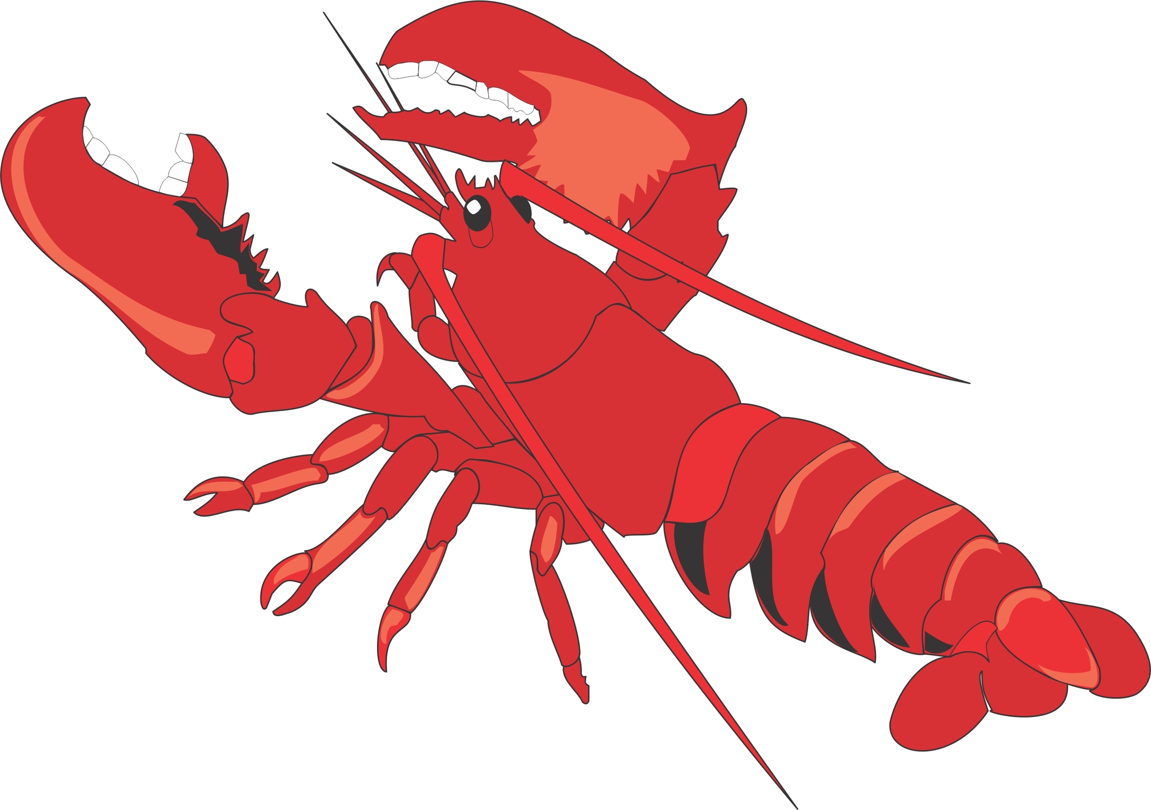Lobster clip art clipart free to use resource