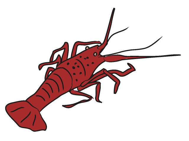 Lobster clip art free clipart images 2 clipartix 3