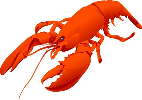 Lobster clip art vector lobster graphics image
