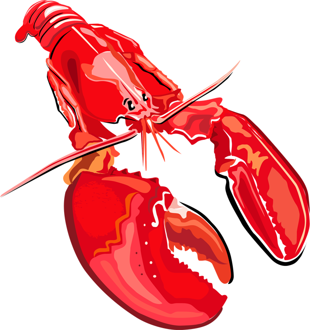 Lobster clipart 5