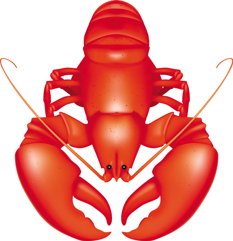 Lobster clipart 7