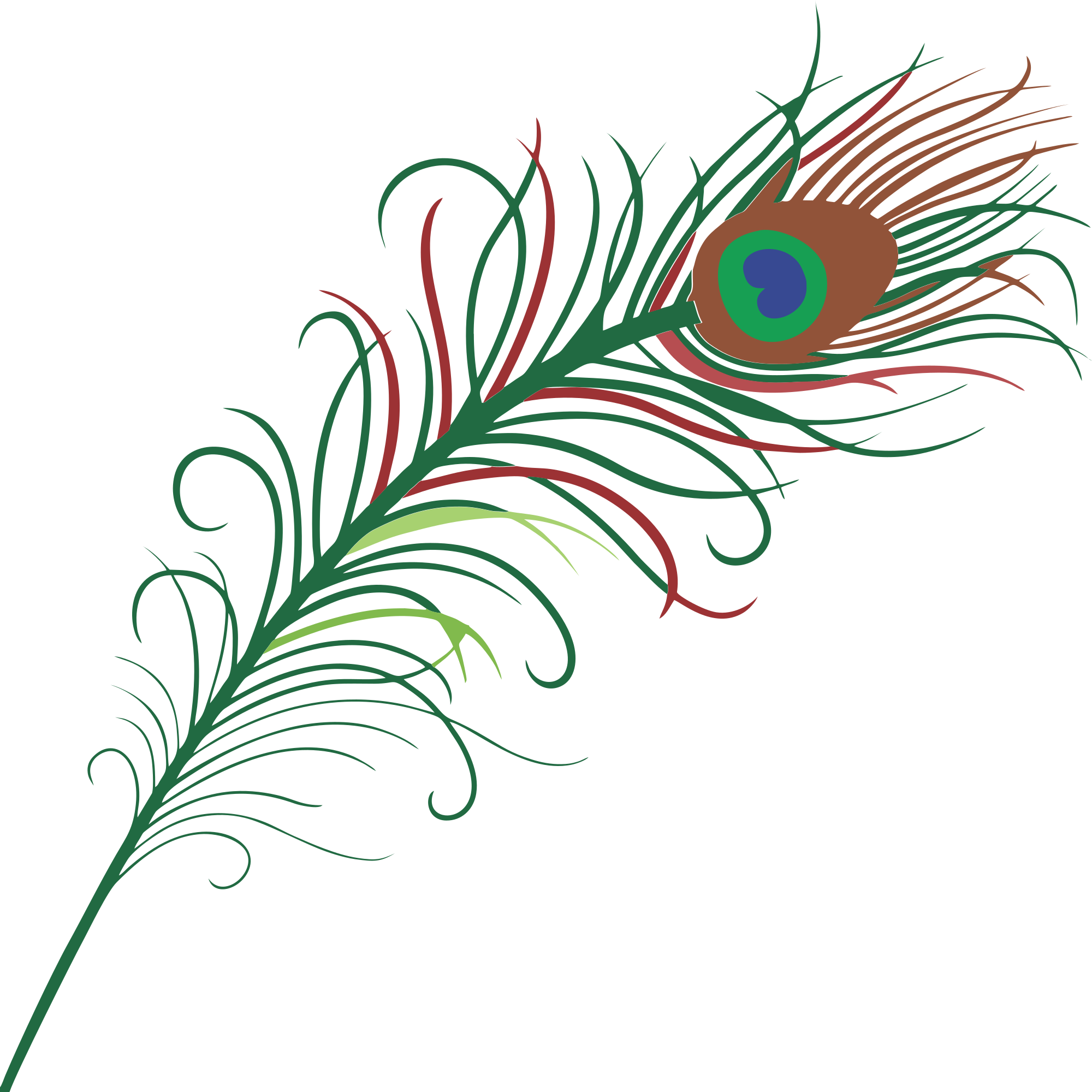 Peacock feather border clipart free images clipartix