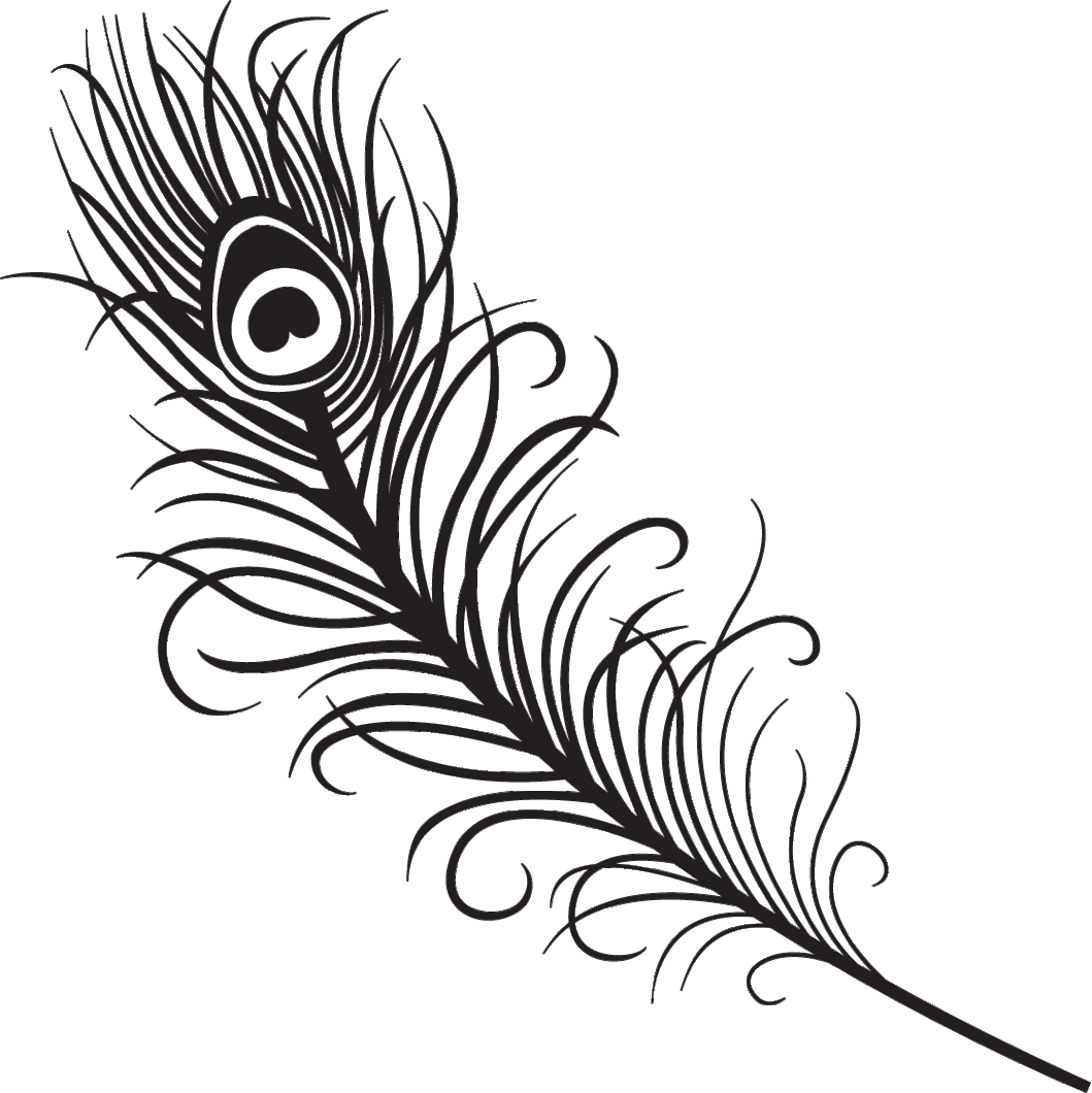 Peacock feather clip art clipart free to use resource