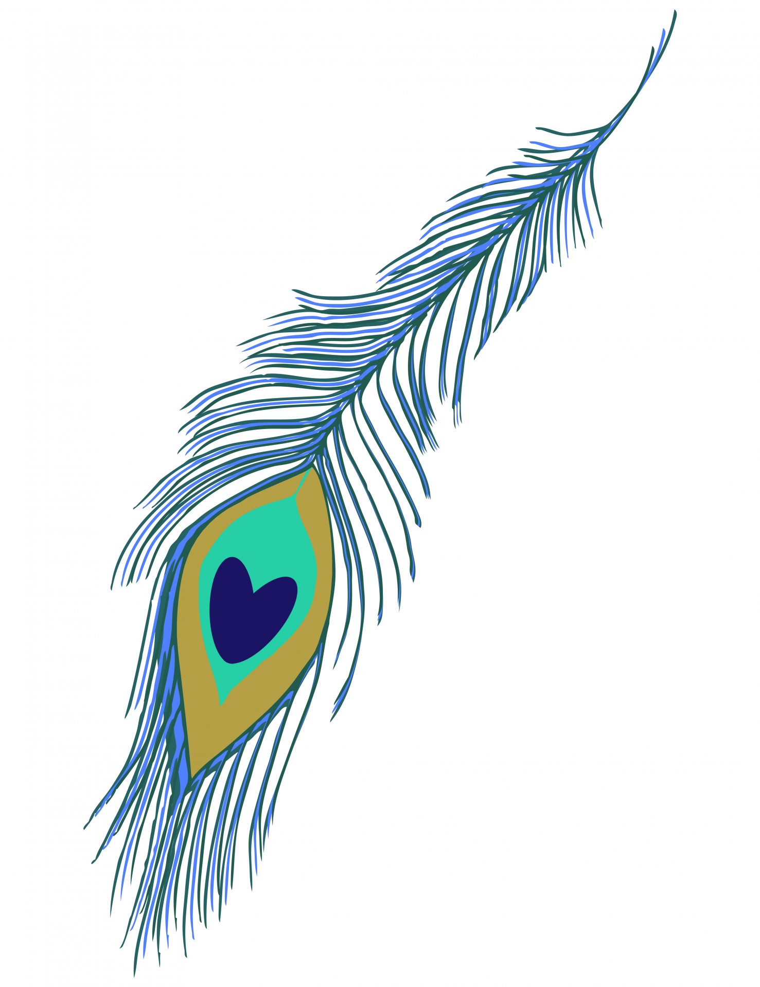 Peacock feather clipart free stock photo public domain pictures