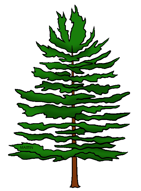 Pine tree clipart clipartix