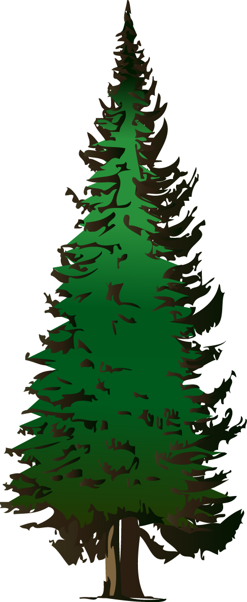 Pine tree clipart free images 2