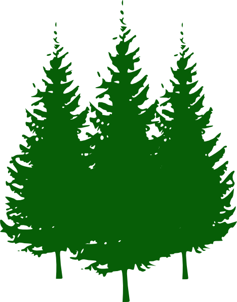 Pine tree clipart free images 4