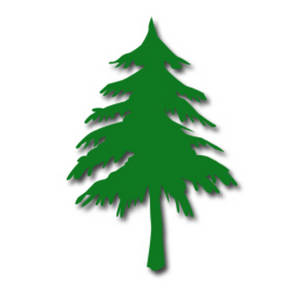 Pine tree clipart free images 5