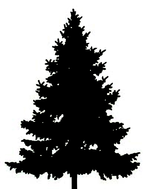 Pine tree silhouette clipart