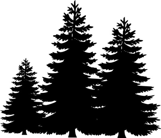 Pine tree tree silhouette and clip art on