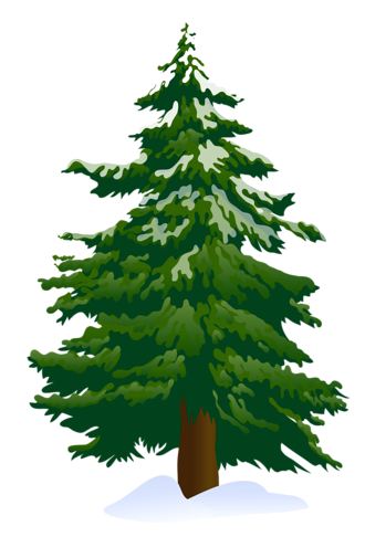 Pine tree with snow clipart kid