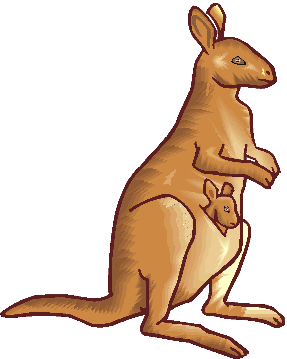 Preschool kangaroo clipart