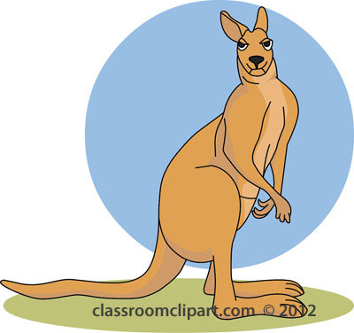 Search results for kangaroo clipart pictures