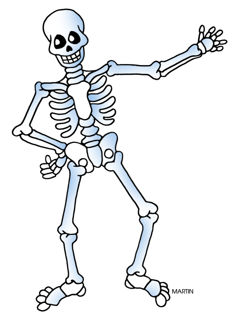 Skeleton clipart free download clip art on