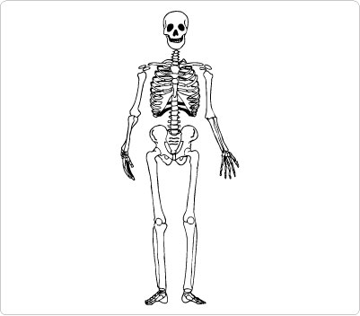 Skeleton clipart kid 2