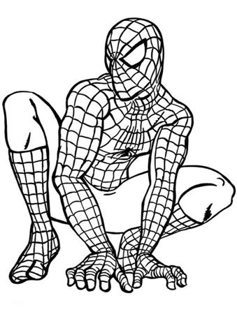 Spiderman clipart free image 8 2