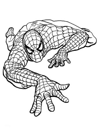 Spiderman spider man black and white clipart clipartfest