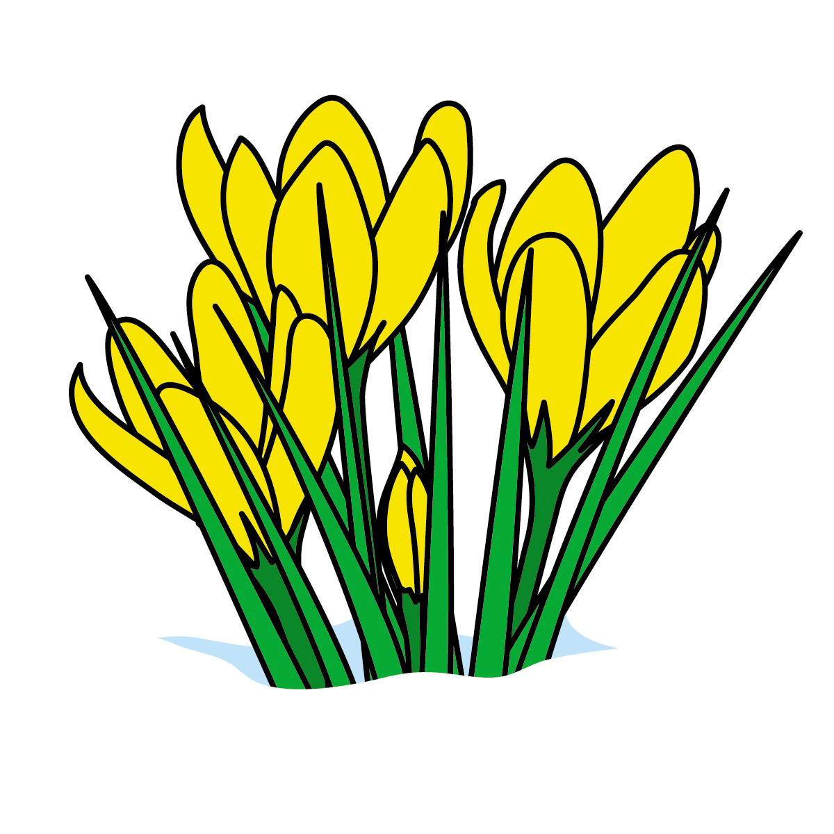 Spring flowers flower clipart free images 2