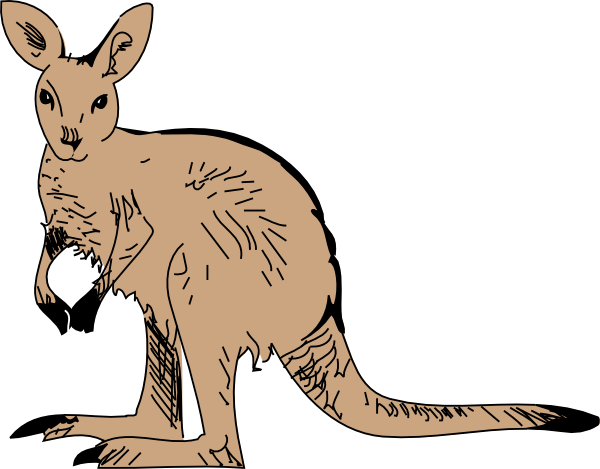 Standing kangaroo clip art at vector clip art
