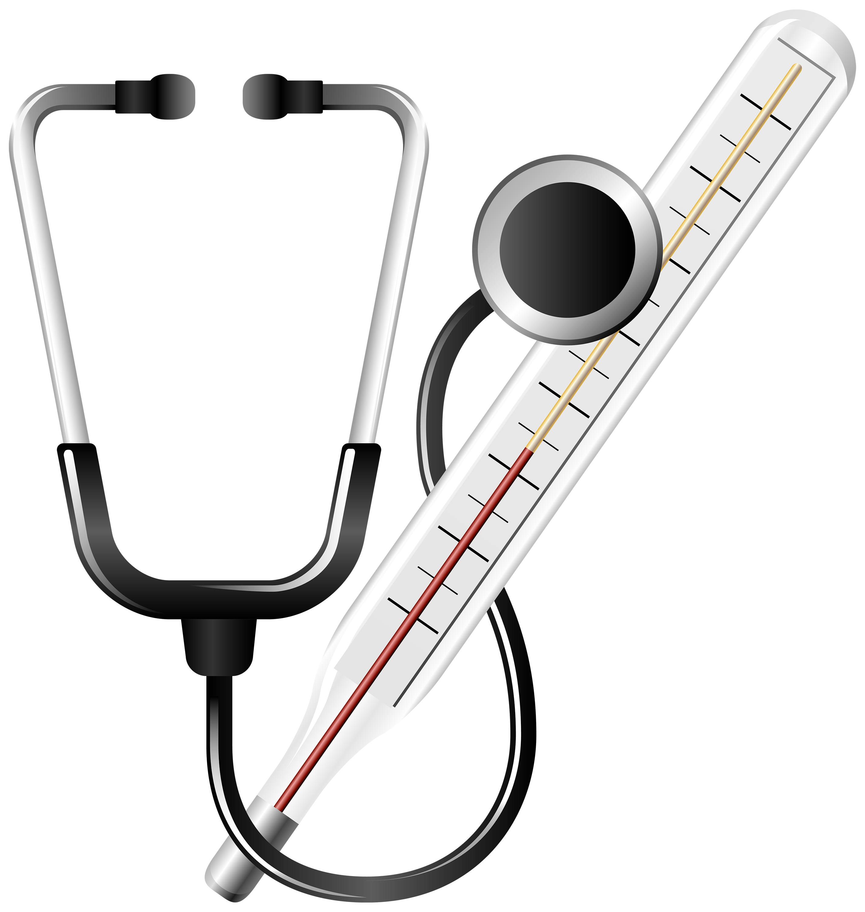 Stethoscope and medical thermometer clipart web