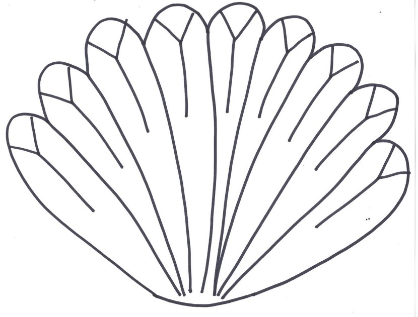 Turkey feather clip art