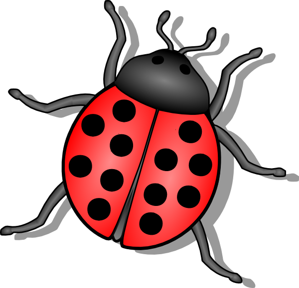 Bug clipart free download clip art on 3